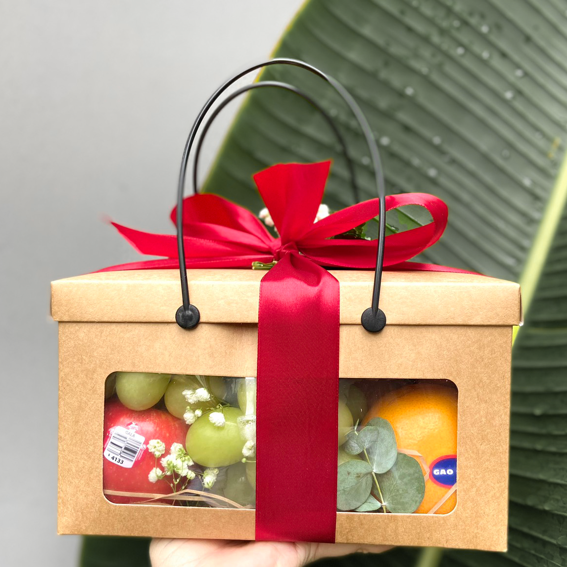 Hộp Túi Xách 2