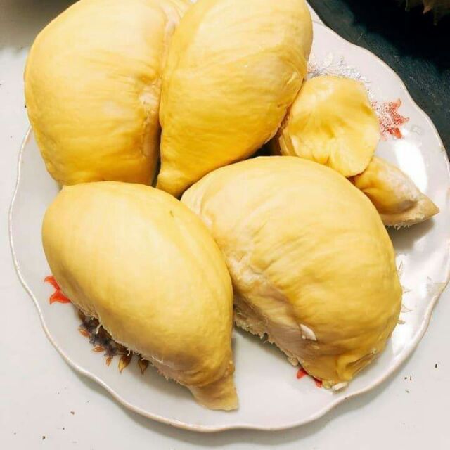 Cây Sầu riêng Monthong