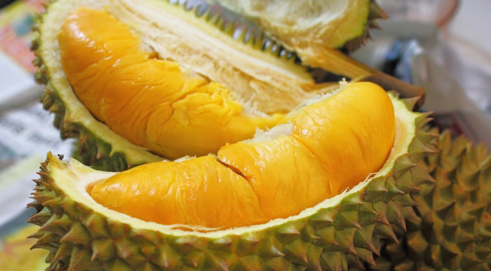 Cây Sầu Riêng Musang King