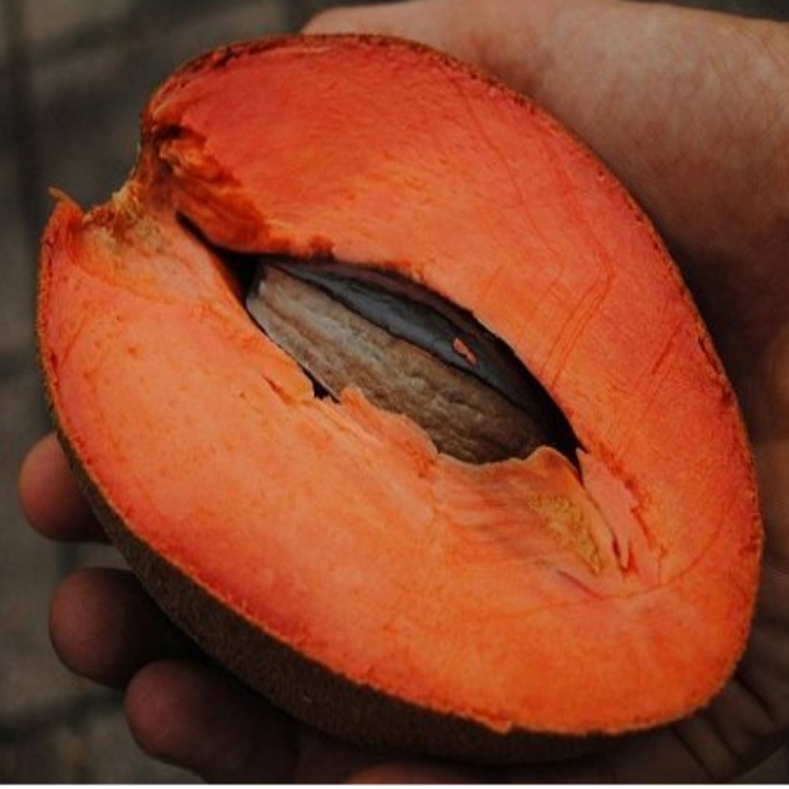 Hồng xiêm ruột đỏ