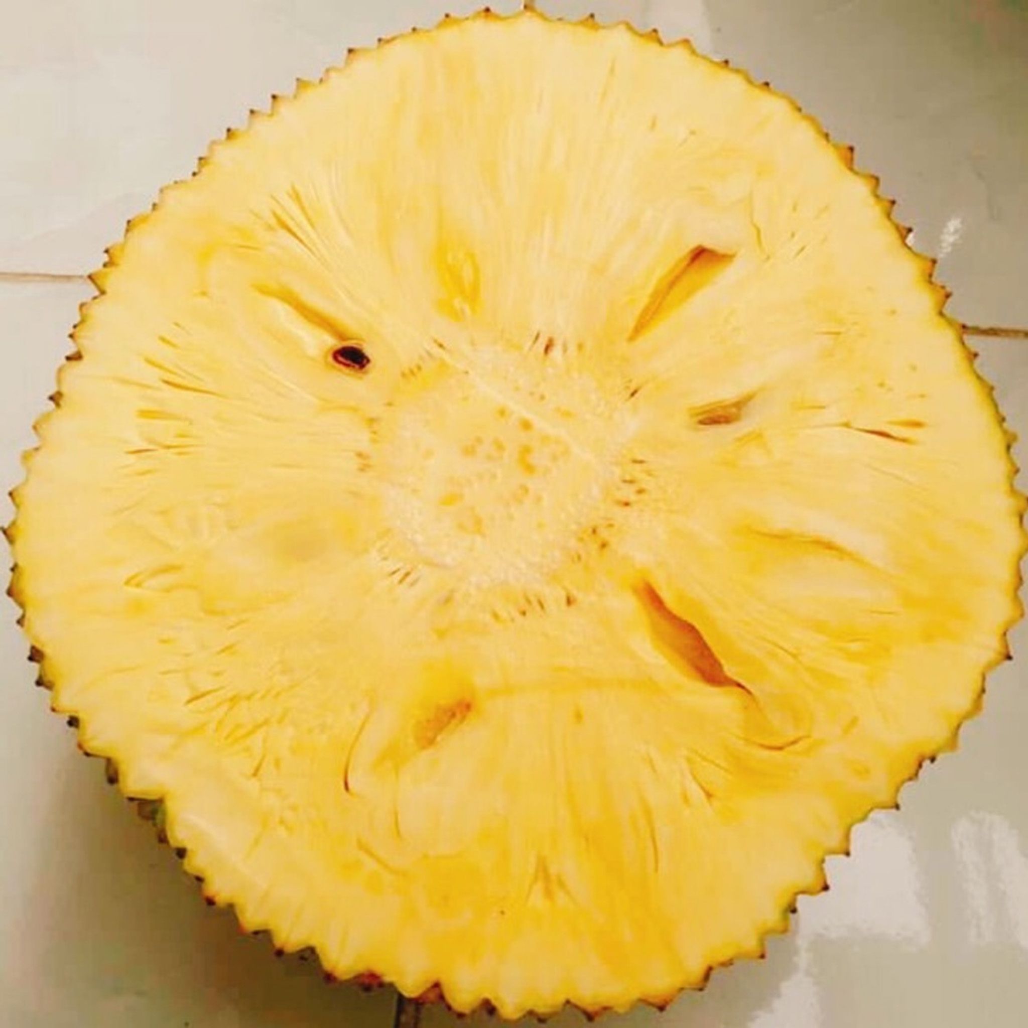 Cây Mít Không Hạt Giống