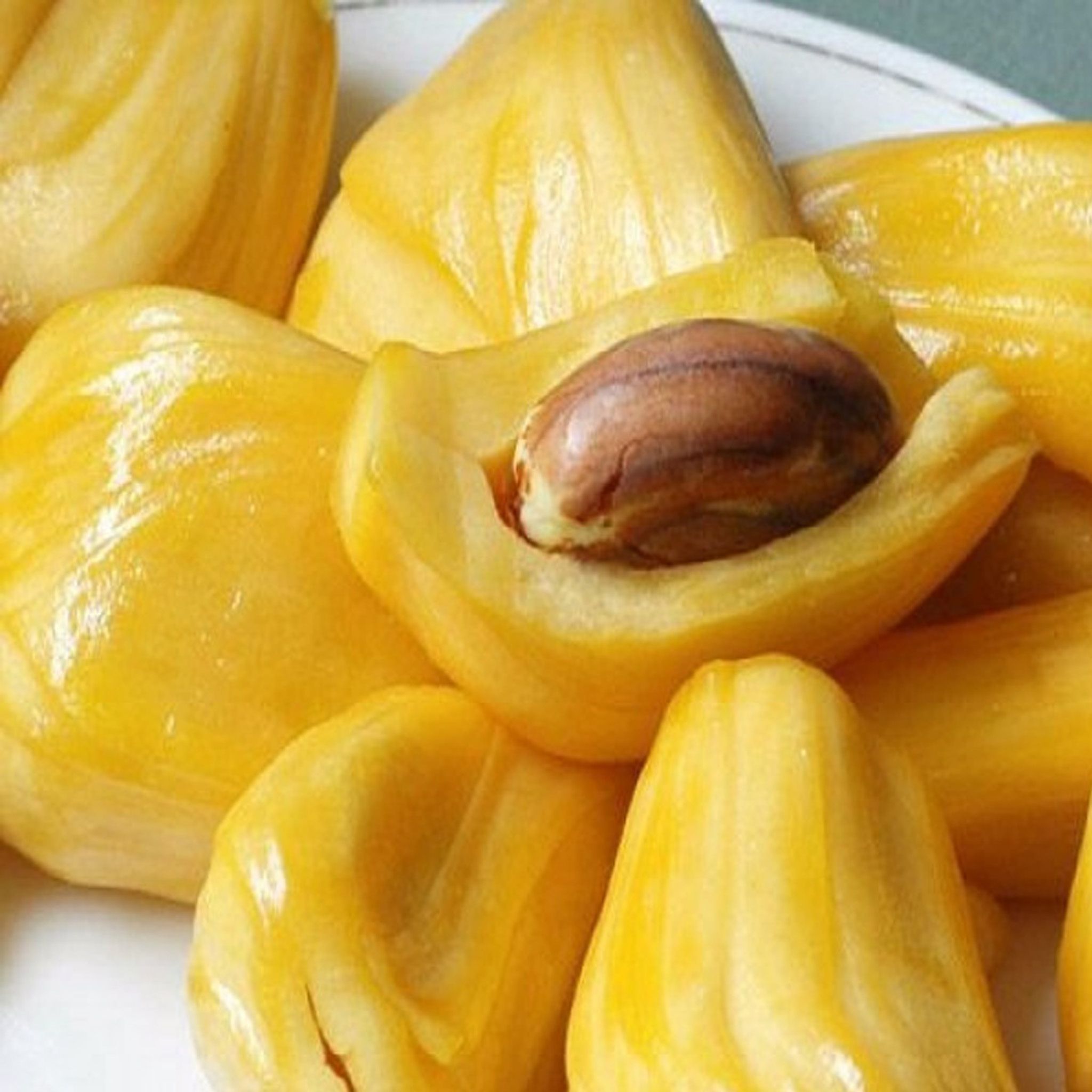 Cây Mít Nghệ Tứ Quý Giống