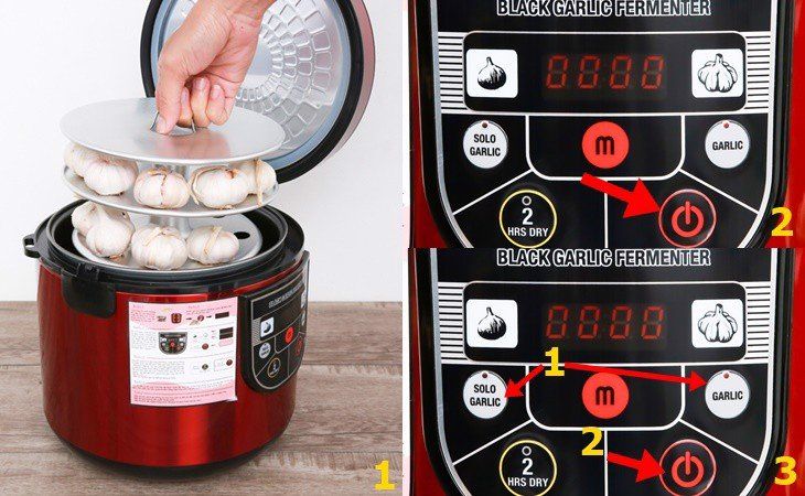 Nồi tỏi đen đa năng Mishio MK54