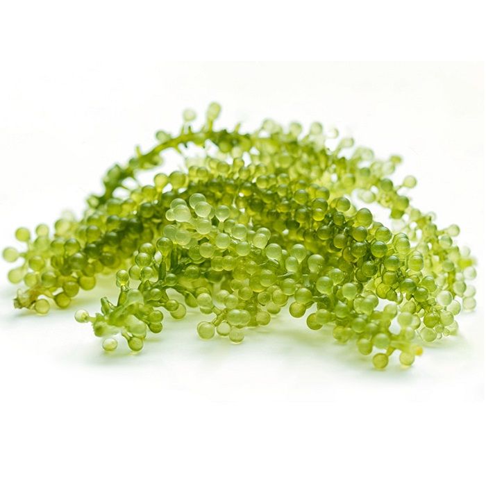 Rong nho tươi, hộp 100g. Bán hàng từ 8h-20h. Thanh toán COD
