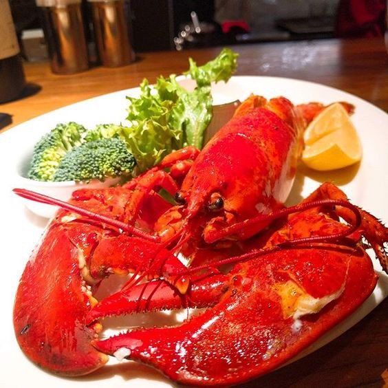 Tôm hùm Canada hấp sẵn 259,000₫/1 con (300~450g). Quy trình chế biến nghiêm ngặt. Bán hàng từ 8h-20h. Thanh toán COD