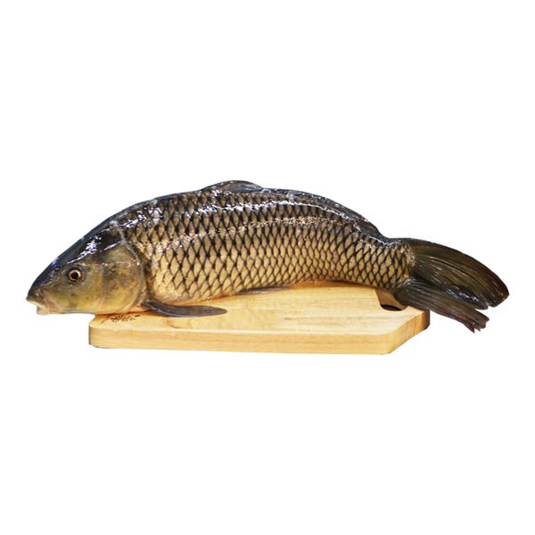 Cá Chép Giòn - 2Kg
