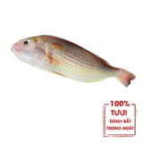  Cá Đổng Hường - 500gr 