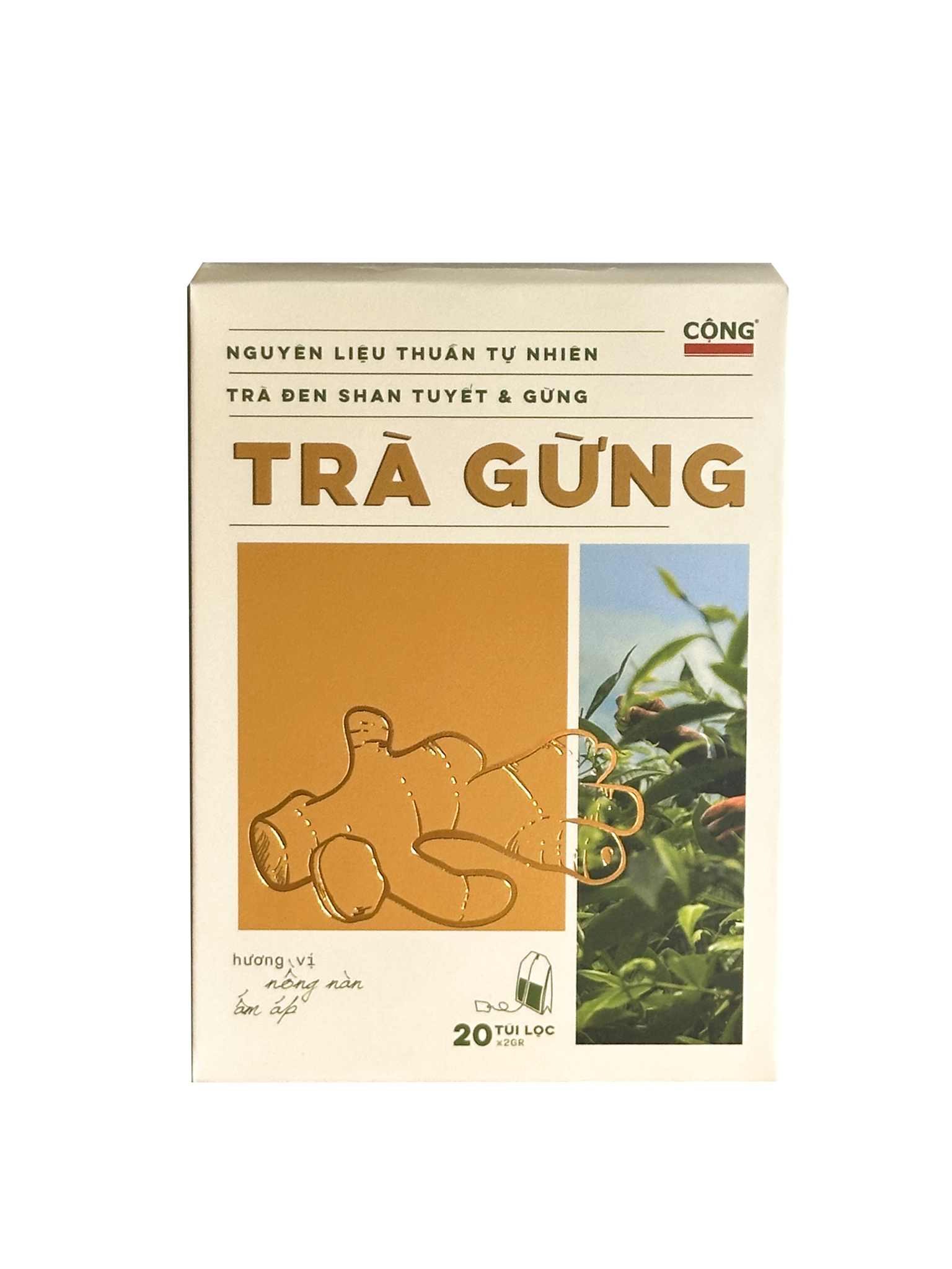 Trà Gừng Túi Lọc