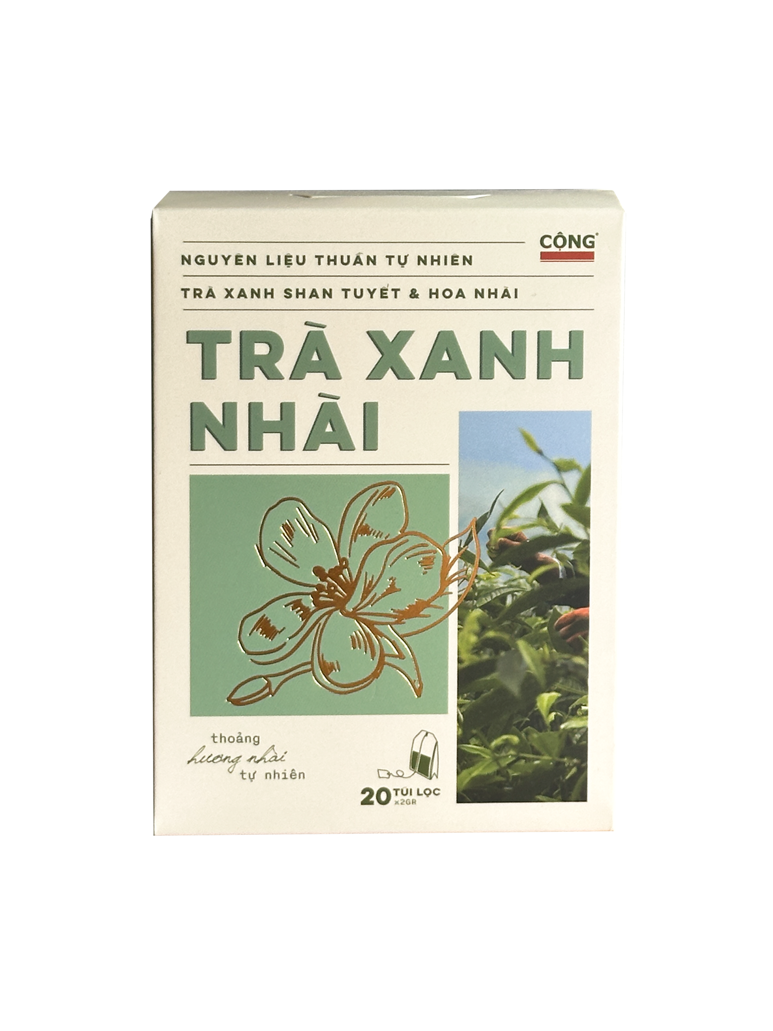 Trà Xanh Nhài Túi Lọc