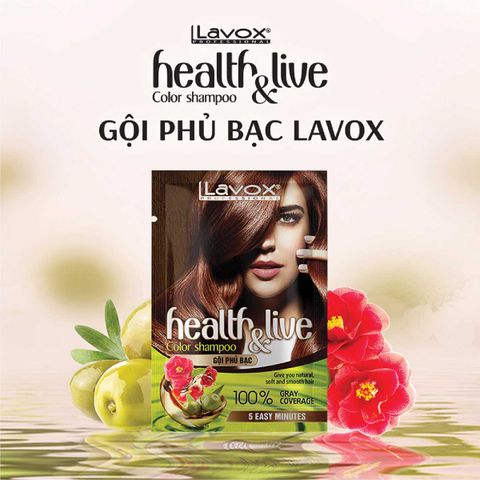  Gội Phủ Bạc Siêu Nhanh Siêu Dưỡng Lavox 