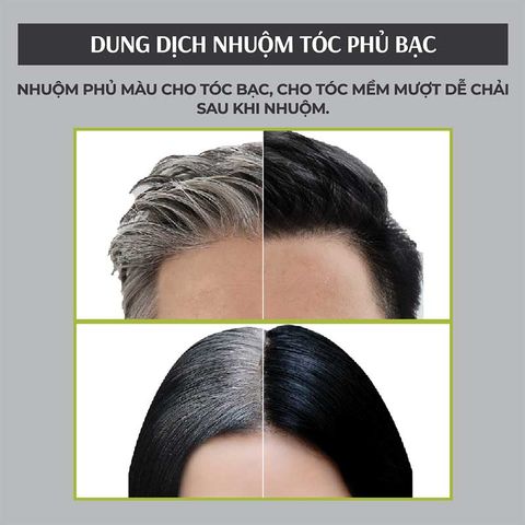  Dung Dịch Nhuộm Tóc Phủ Bạc Lavox 