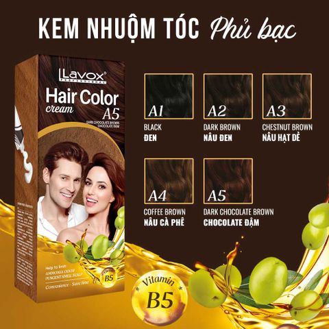  Kem Nhuộm Phủ Bạc Lavox 