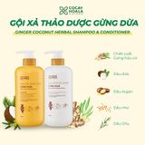 Gội Xả thảo dược Gừng Dừa 650g