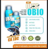 Koika OBIO Phiên Bản Đặc Biệt Dành Cho Cá Lóc