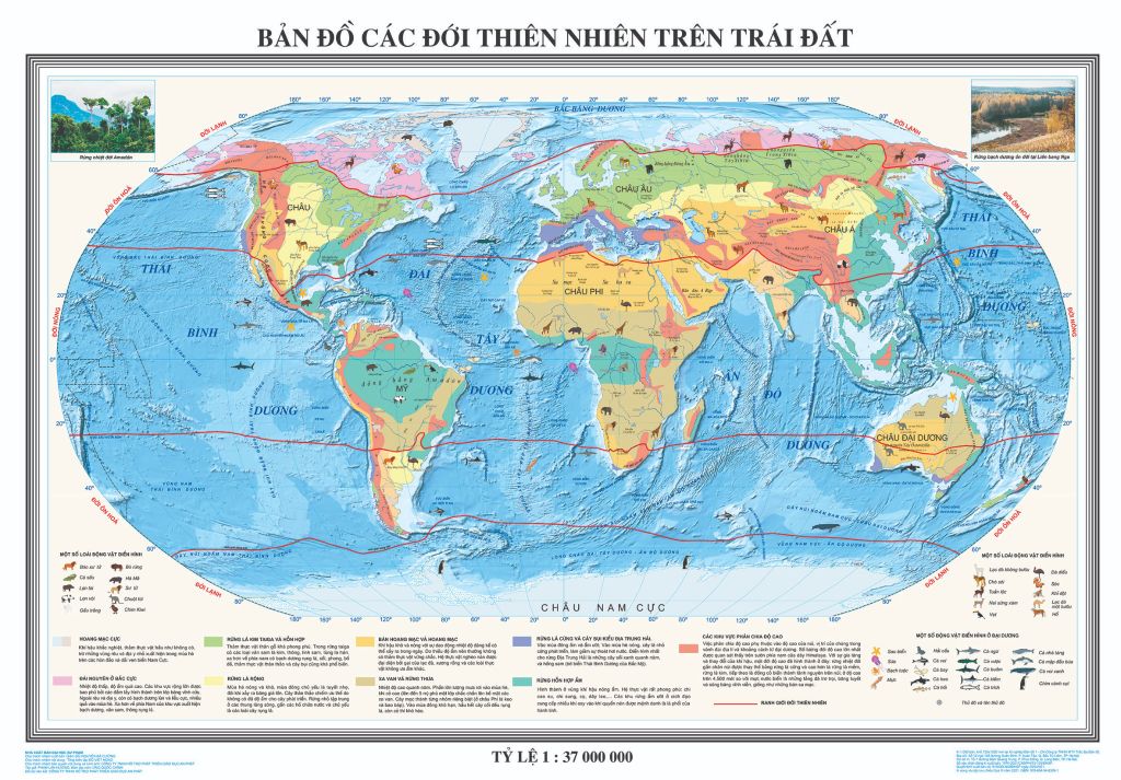 Bản đồ các đới thiên nhiên trên trái đất