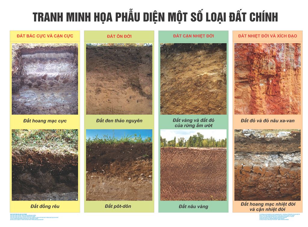 Tranh minh họa phẫu diện một số loại đất chính