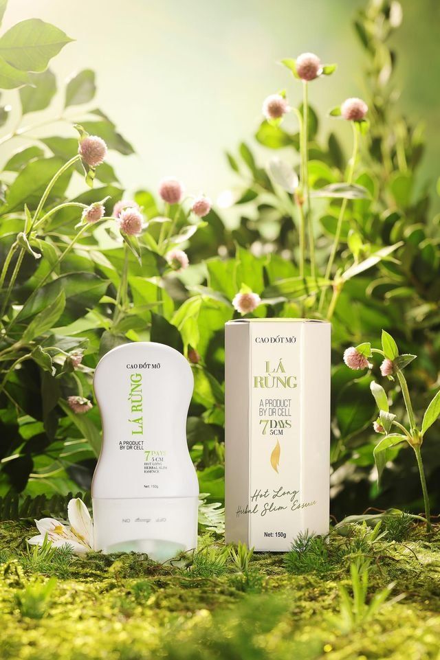 CAO LÁ RỪNG - Giảm mỡ bụng hiệu quả trong 7 ngày