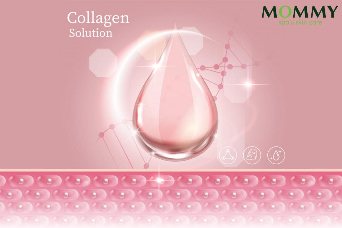 CHĂM SÓC DA VỚI NẠ COLLAGEN LÁ KHÔ