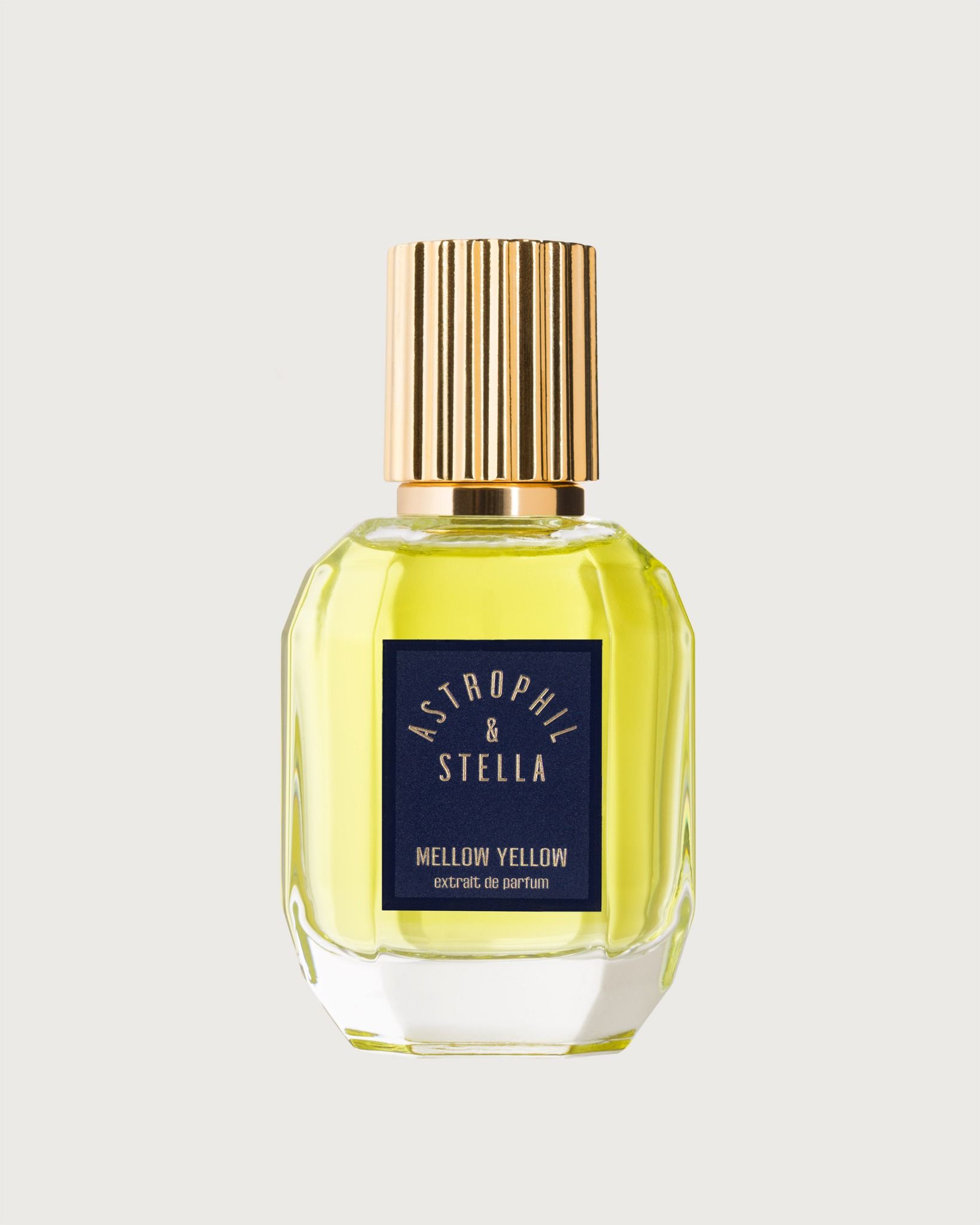 Astrophil & Stella Mellow Yellow