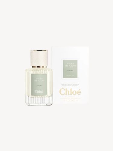 Chloe Atelier de Fleurs Hysope