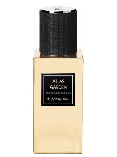 Atlas Garden Yves Saint Laurent