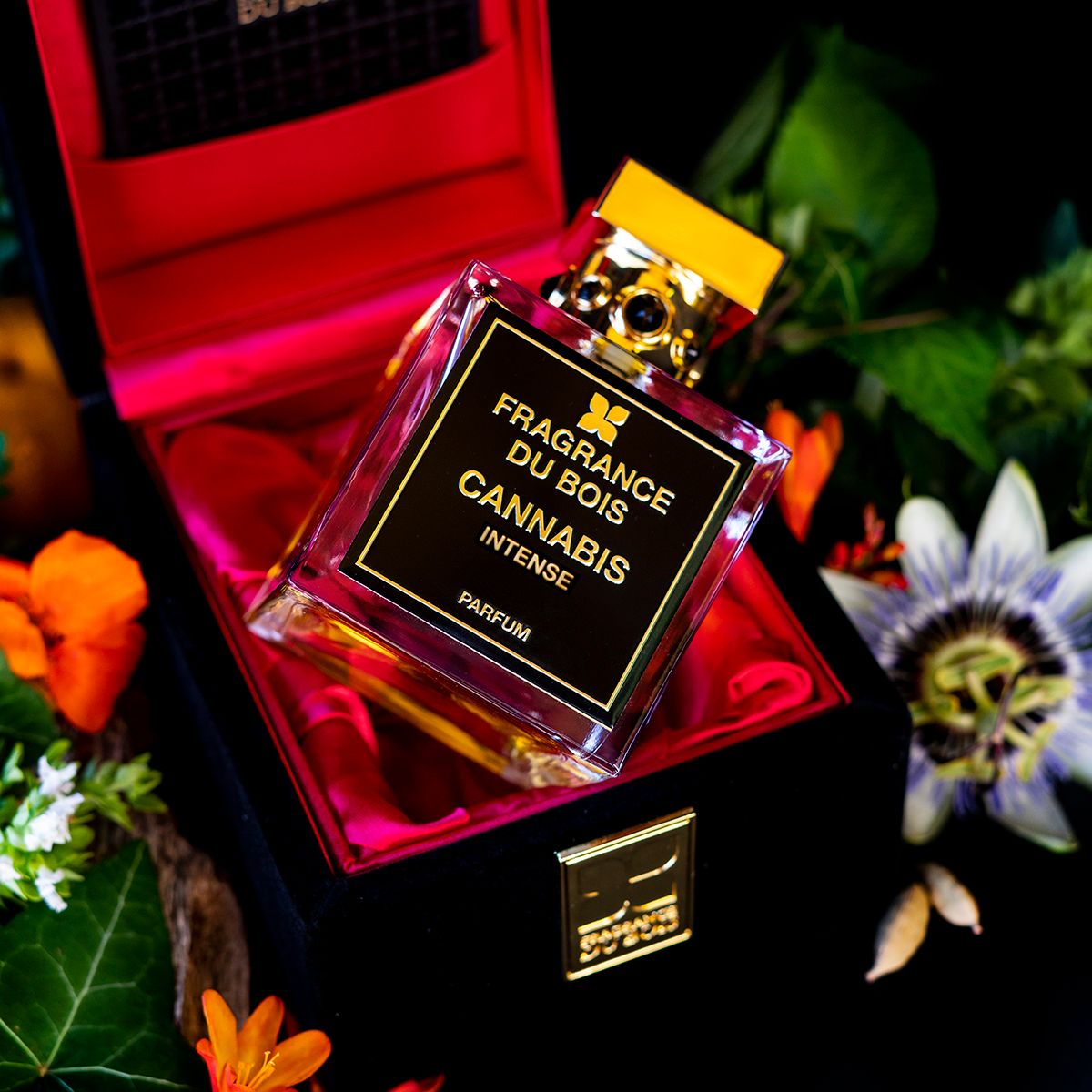 Fragrance Du Bois Cannabis Intense