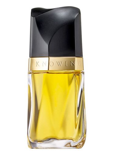 Estée Lauder Knowing