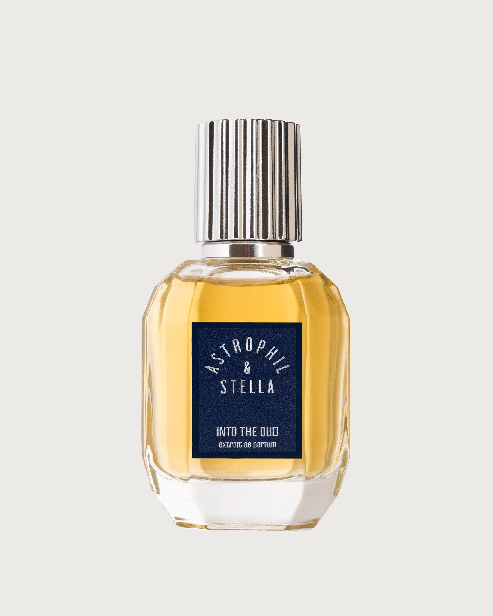 Astrophil & Stella Into The Oud