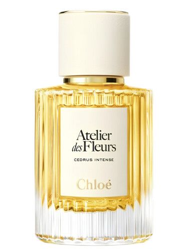 Cedrus Intense Chloé