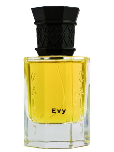 EVY Calaj