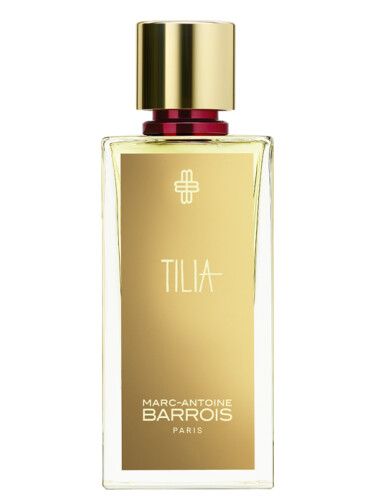 Tilia Marc-Antoine Barrois