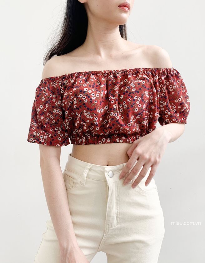 Hayla Top