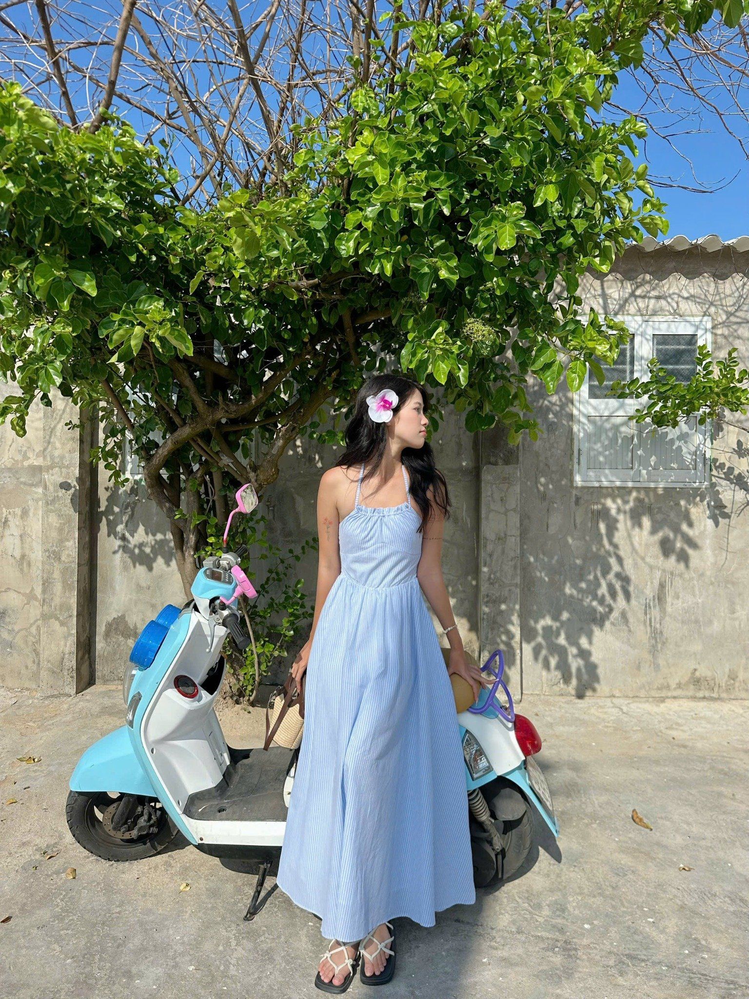 ĐẦM AURORA