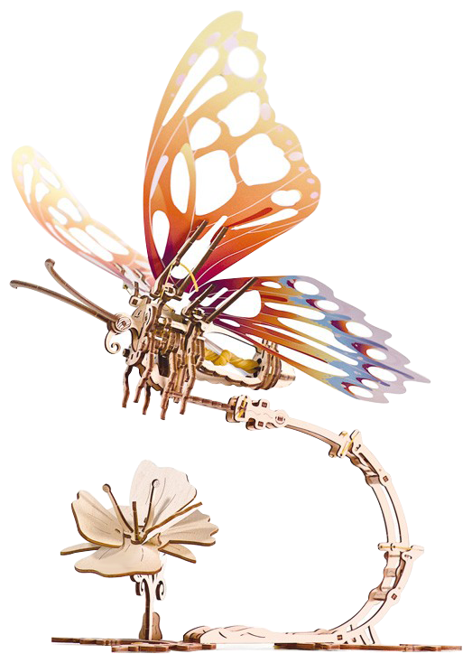 THE MOTHRA