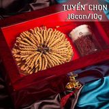 Đông Trùng Hạ Thảo Tây Tạng Vip - 16con/10g Hàng Tuyển Chọn