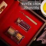 Đông Trùng Hạ Thảo Tây Tạng Vip - 20con/10g Hàng Tuyển Chọn