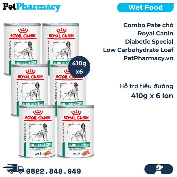  Combo Pate chó Royal Canin Diabetic Special Low Carbohydrate Loaf 410g - 6 lon - Hỗ trợ tiểu đường 