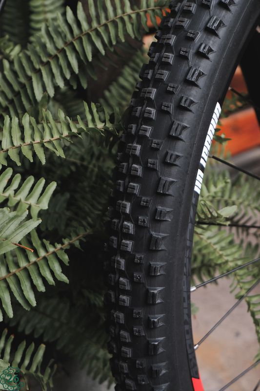 Vỏ xe đạp MTB Schwalbe Rapid Rob 29 x 2.25