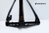  Khung sườn xe đạp MTB Carbon BigRock MT.Nine 29 inch Boost 