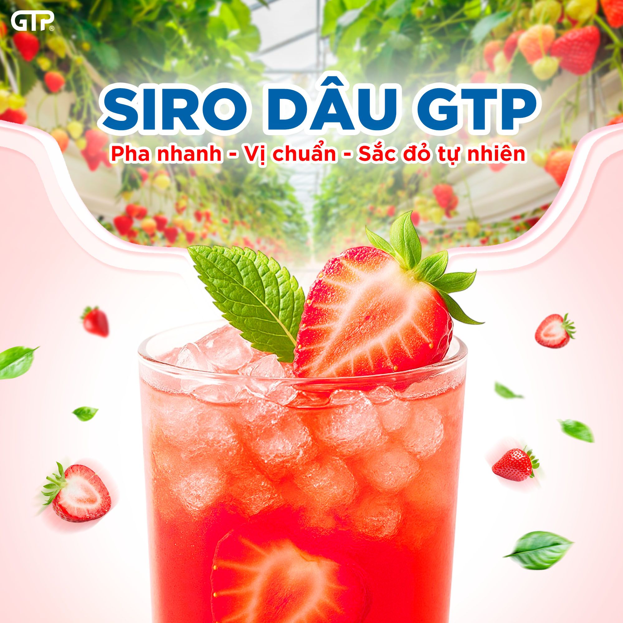 Siro Dâu GTP