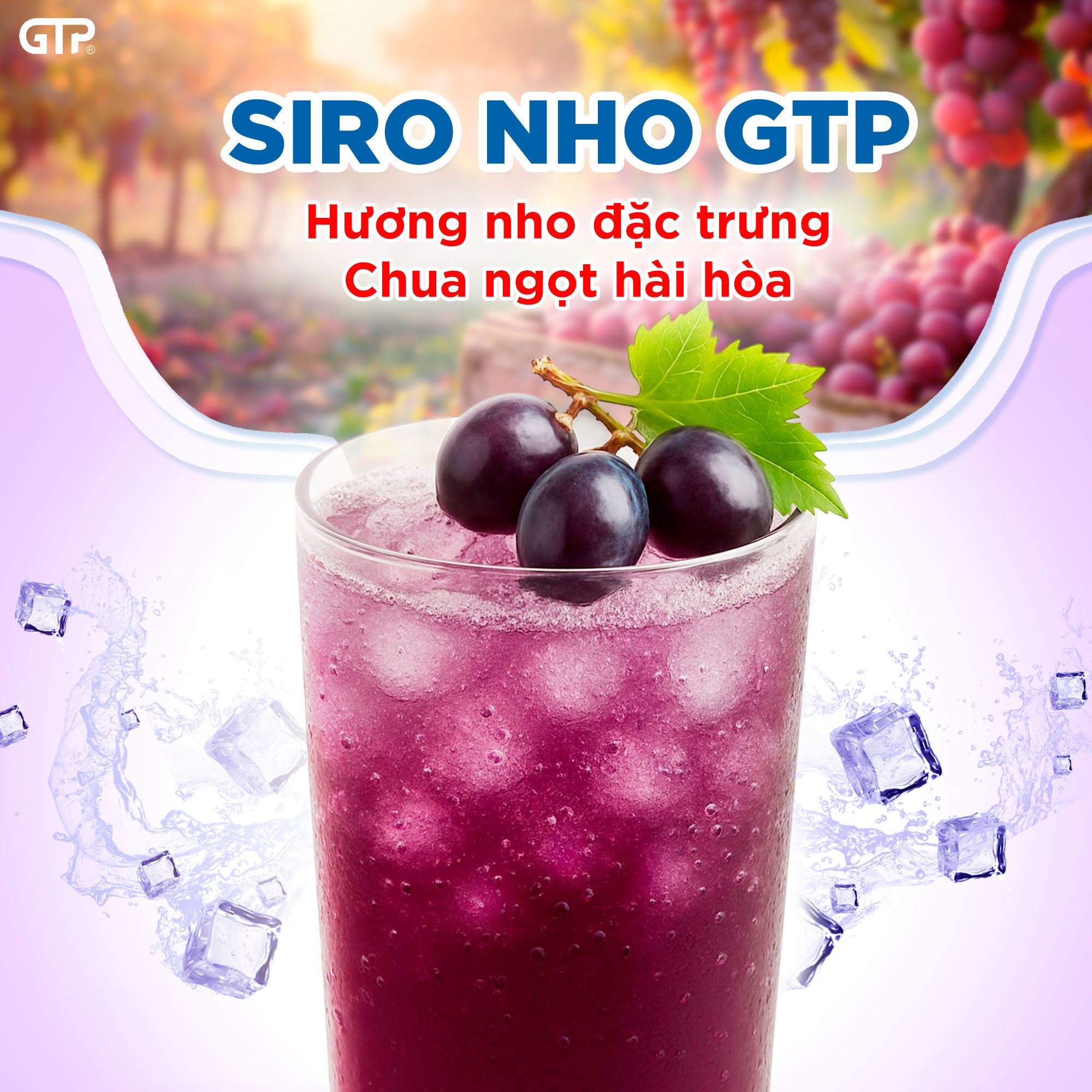 Siro Nho GTP