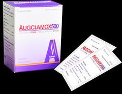 Augclamox 500