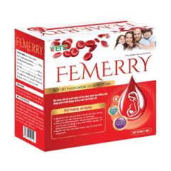 Sắt nước dạng ống Femerry