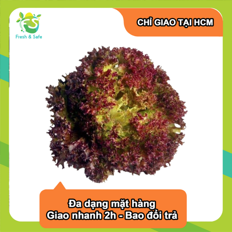 Xà lách lolo tím - 150g