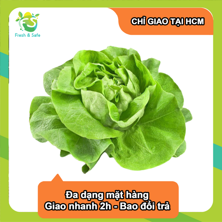 Xà lách búp mỡ - 300gr