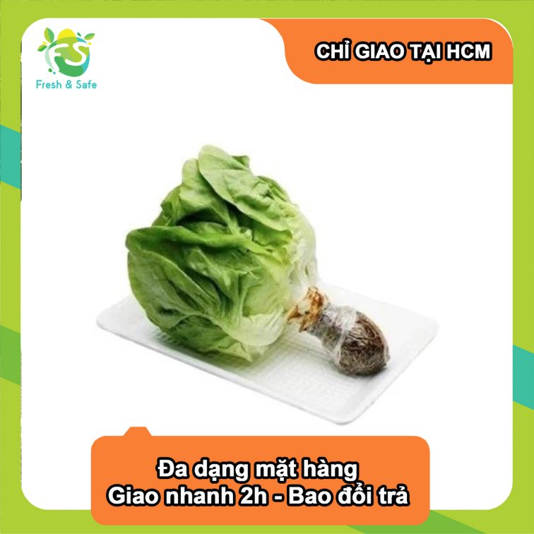 Xà lách búp mỡ - 300gr