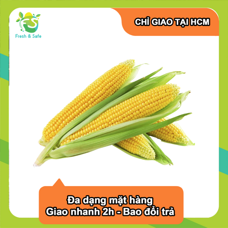 Bắp Mỹ - 1 Trái
