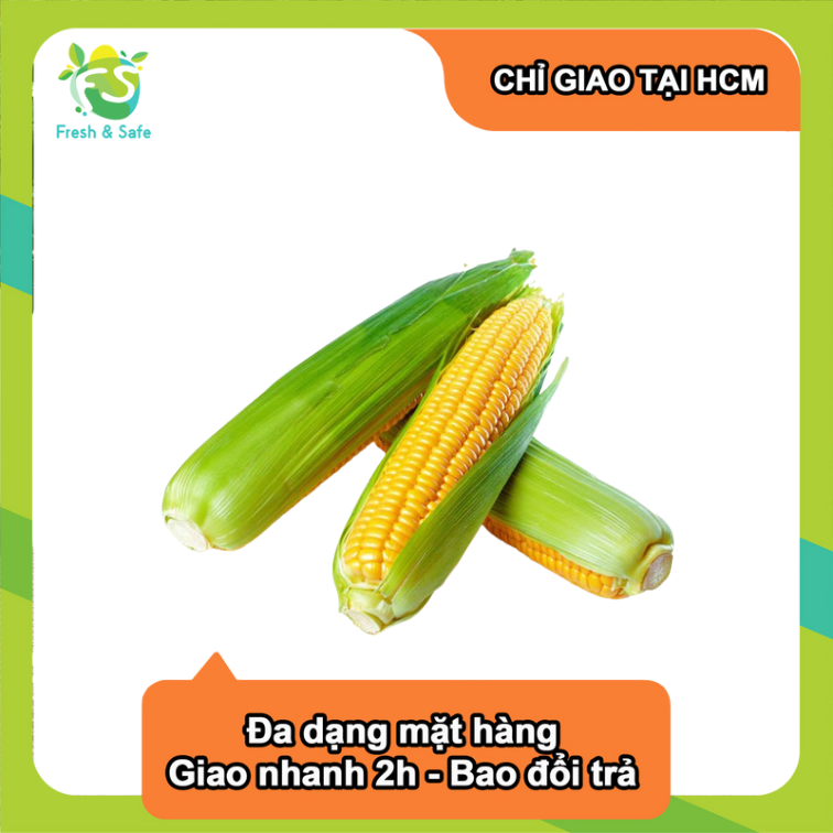 Bắp Mỹ - 1 Trái