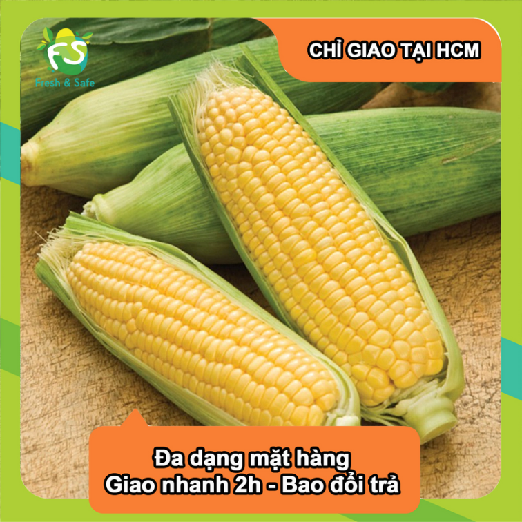 Bắp Mỹ - 1 Trái