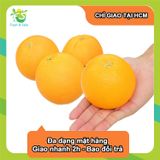  Cam Vàng Nam Phi/Ai Cập - 1kg 